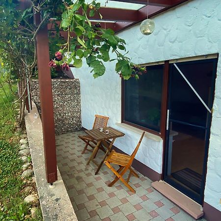 Gemuetliche Wohnung Mit Neckarblick Eberbach  Dış mekan fotoğraf