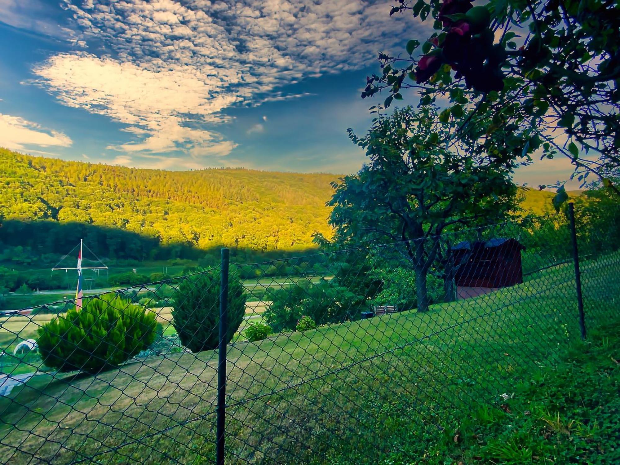 Gemuetliche Wohnung Mit Neckarblick Eberbach  Dış mekan fotoğraf